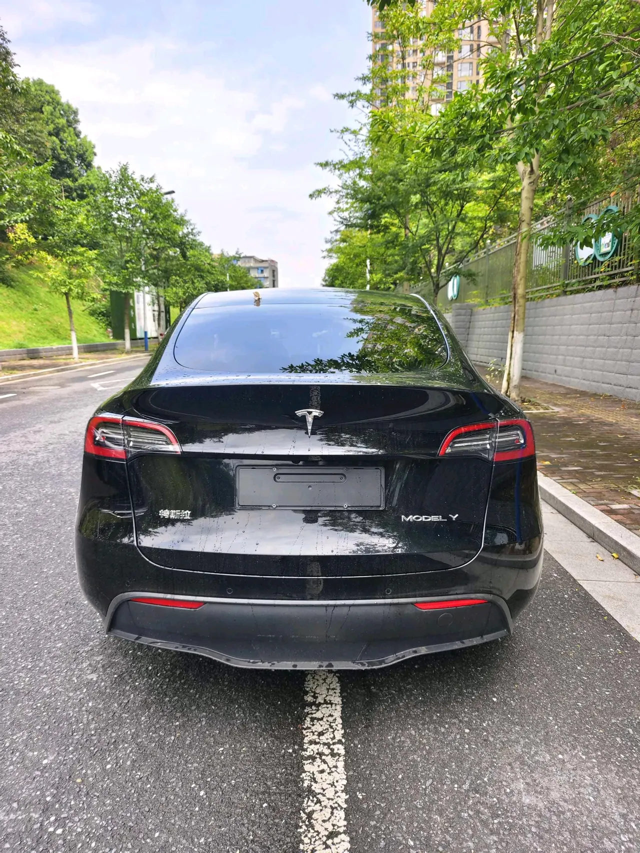Tesla 2021 Model Y Standard Endurance Rear Drive Automatic Gear 8
