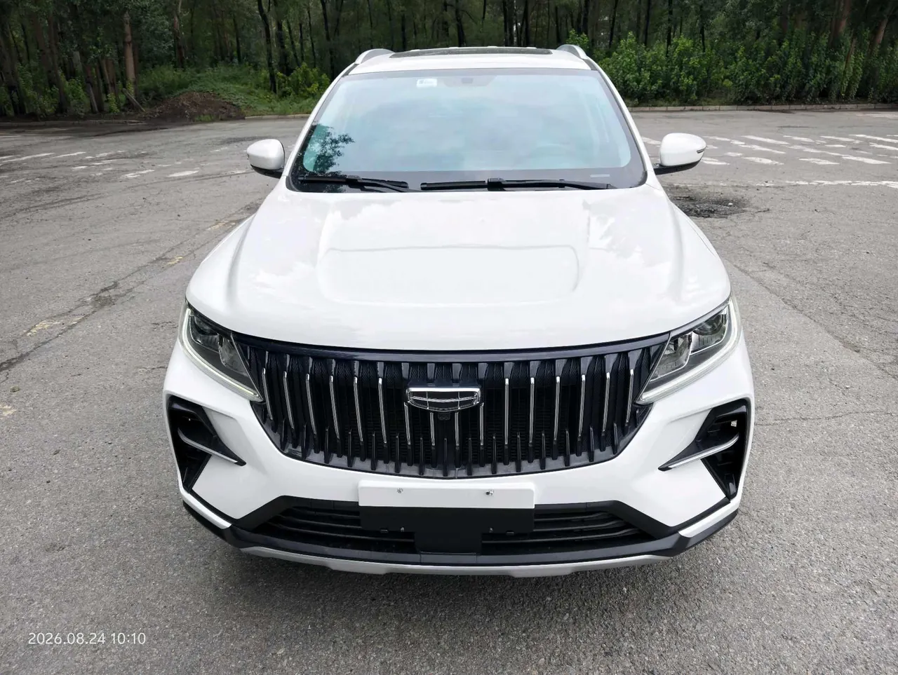 Geely Vision SUV(X6) 2021 Vision X6 Pro 1.4T Honorable Manual Gear 2