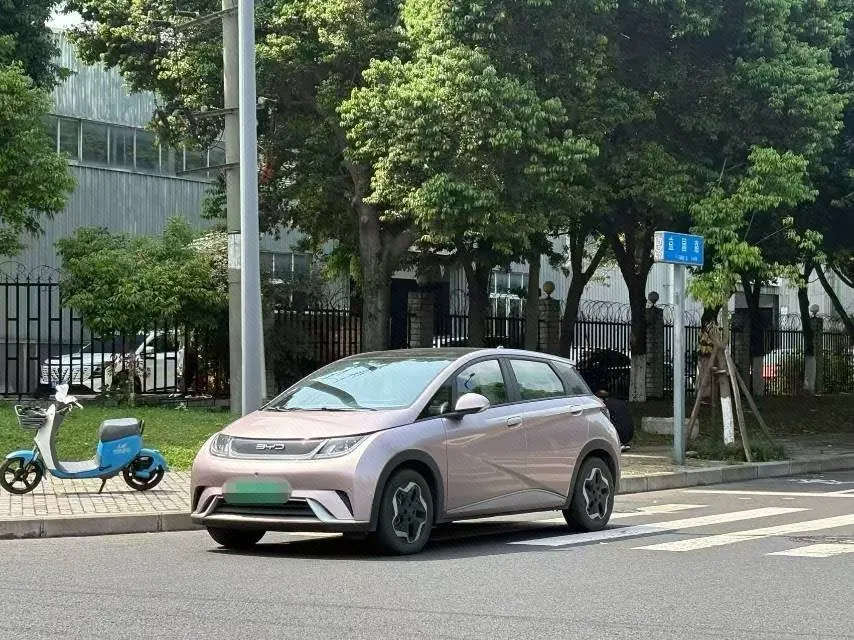 Open image lightbox: BYD 2021 Dolphin 405km Fashion Edition Automatic