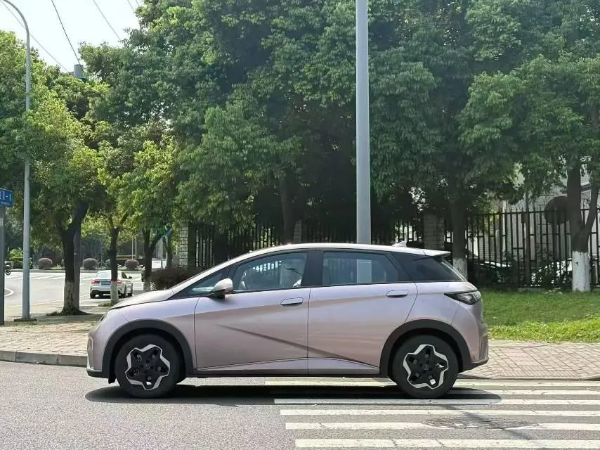 BYD 2021 Dolphin 405km Fashion Edition Automatic 3