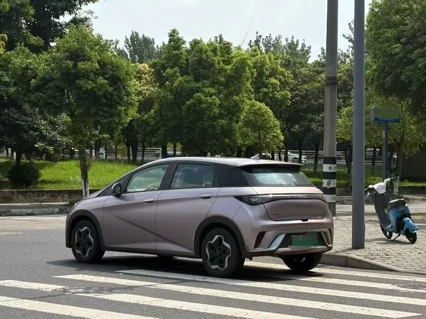 BYD 2021 Dolphin 405km Fashion Edition Automatic 4