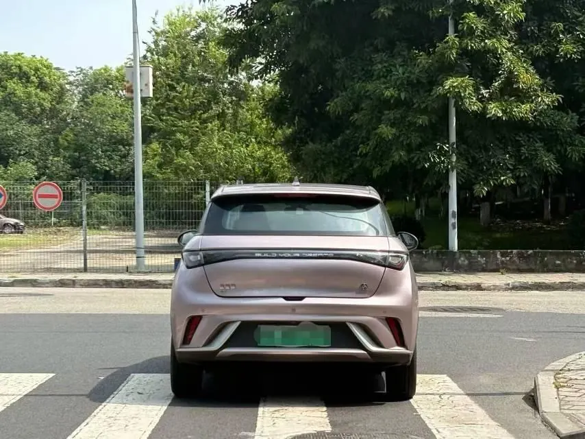 BYD 2021 Dolphin 405km Fashion Edition Automatic 5