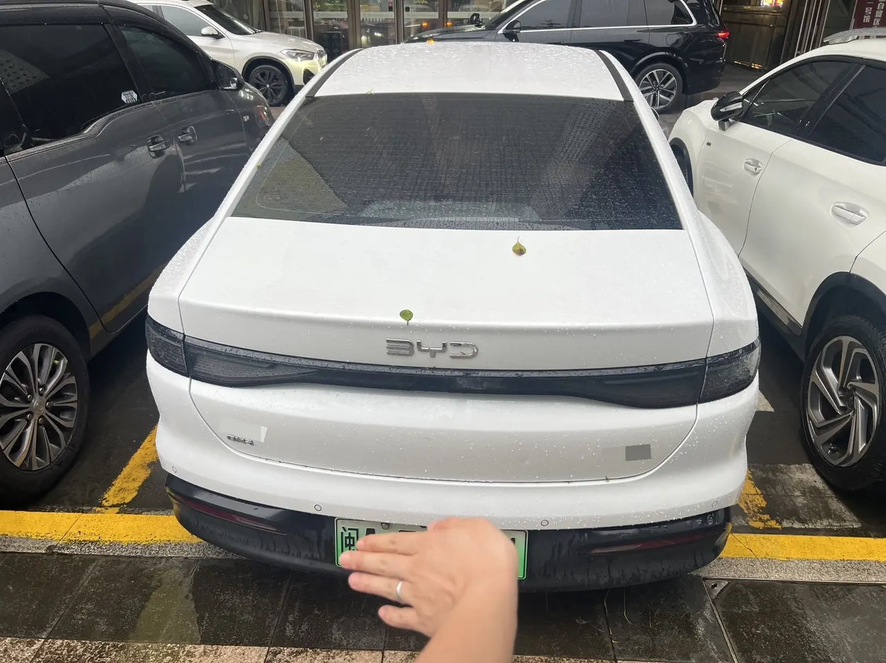 BYD 2025 seals 05 DM-i 1.5 stepless smart driving version 55KM luxury automatic gear 5