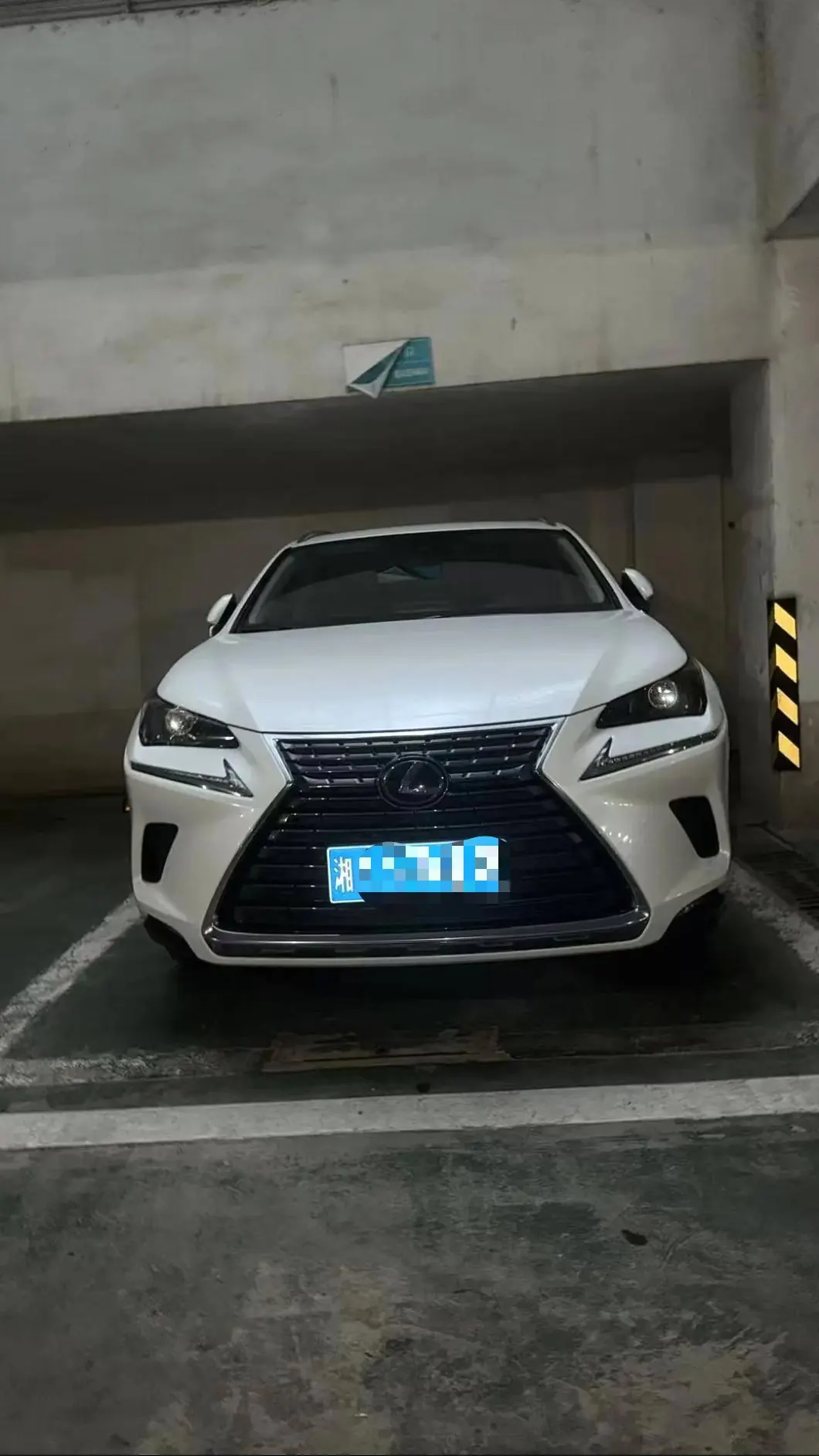 Lexus NX (Imported) 2020 NX300h 2.5 Stepless Front Edition Automatic Gear 3