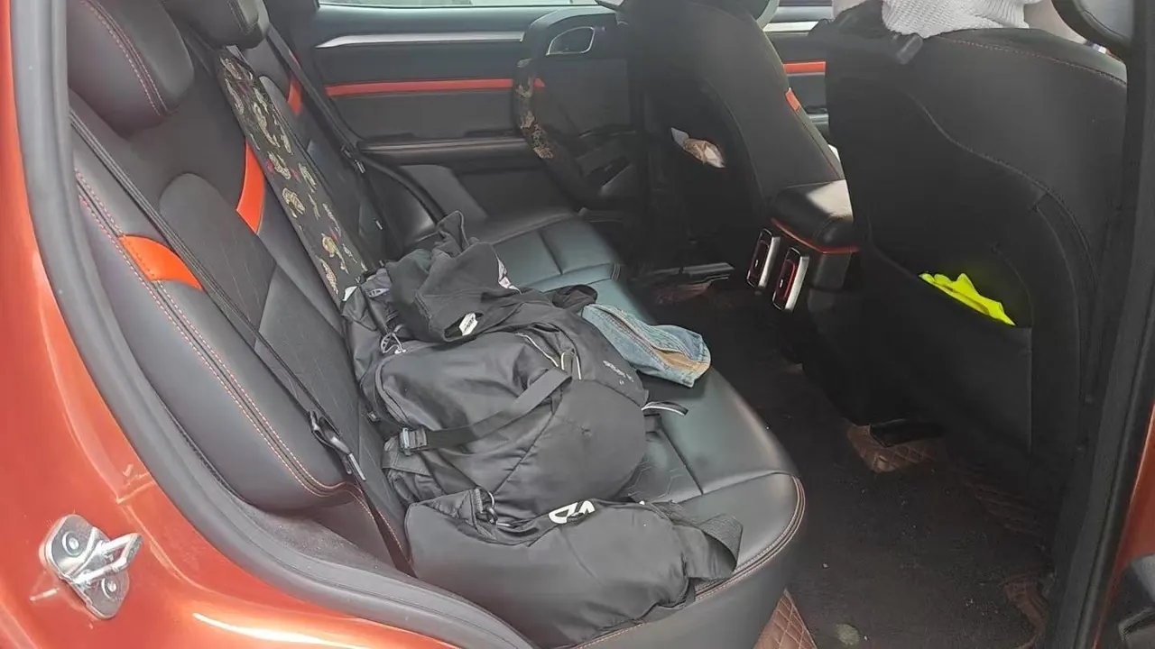 Haval 2021 Big Dog 1.5T Two-Drive Horse Dog Edition (Revised) Automatic Gear 3