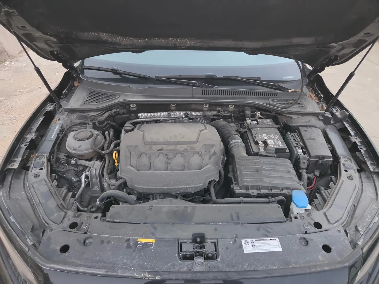 Volkswagen 2025 Passat 2.0TSI 380TSI outstanding star dragon version automatic gear 8