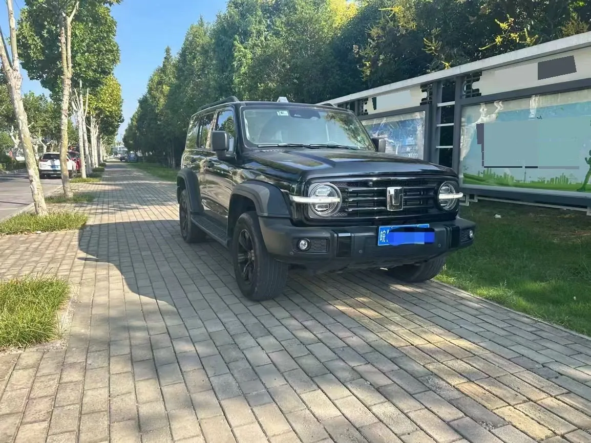 Tank 2021 Tank 300 2.0T Off-road Conqueror Automatic 3