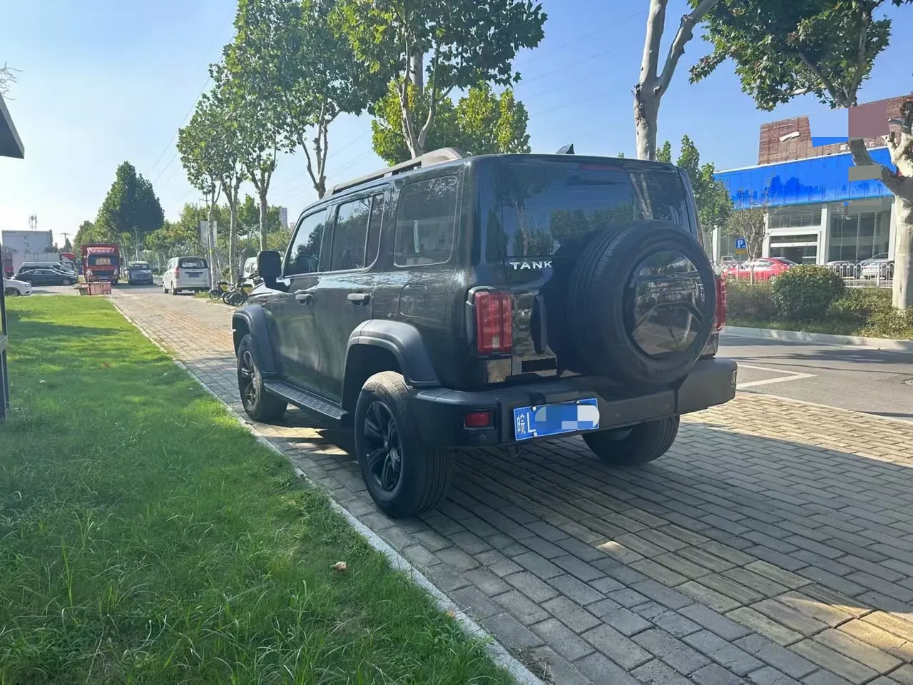 Tank 2021 Tank 300 2.0T Off-road Conqueror Automatic 8