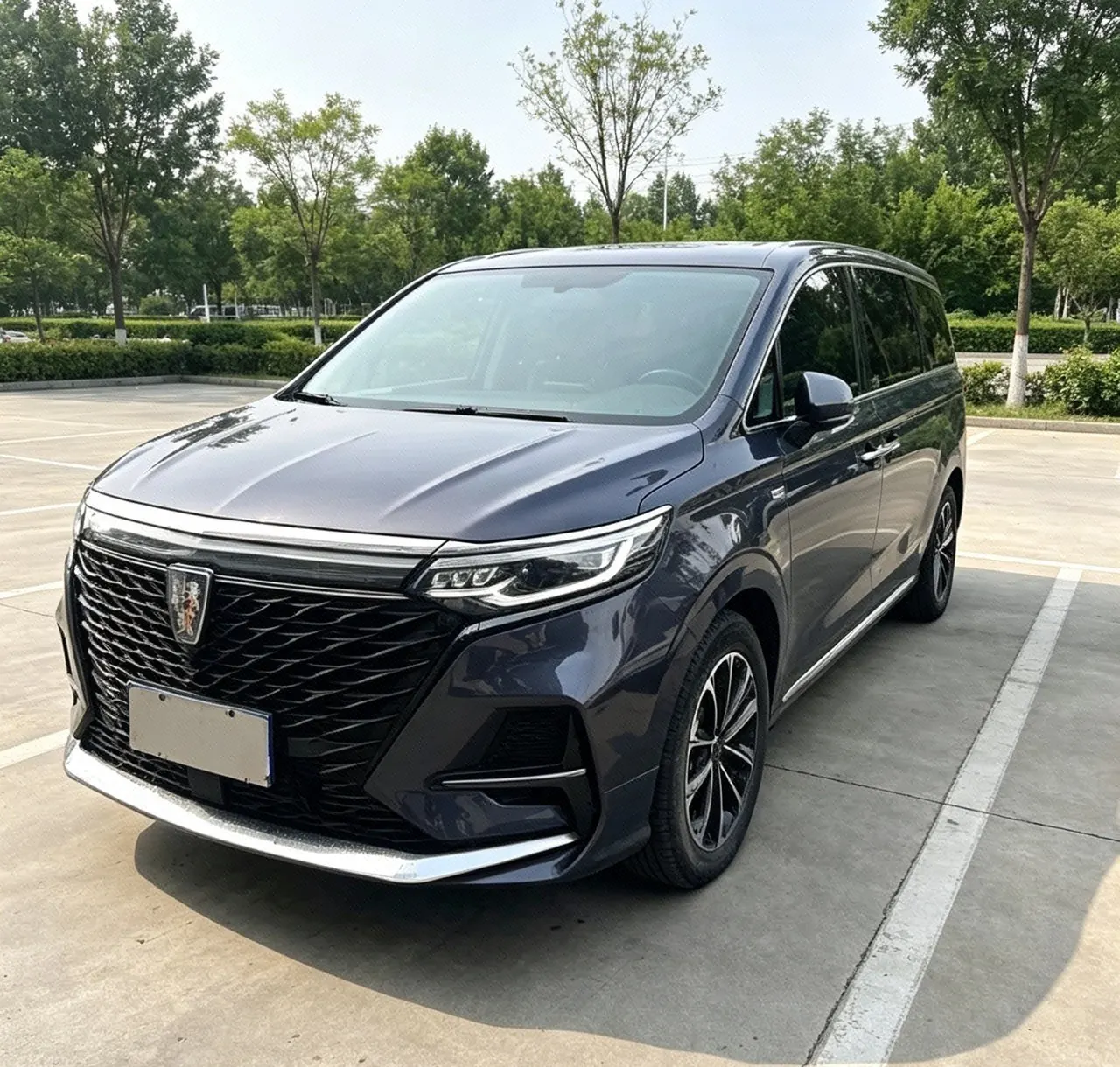 Roewe 2022 iMAX8 2.0TGI 400TGI Happy Gathering Edition Automatic Gear - View 1
