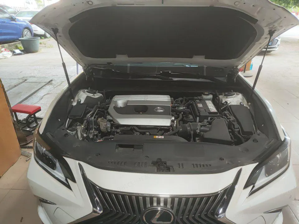 Lexus ES (Imported) 2020 ES200 2.0 Stepless Premium Edition Automatic Gear 5