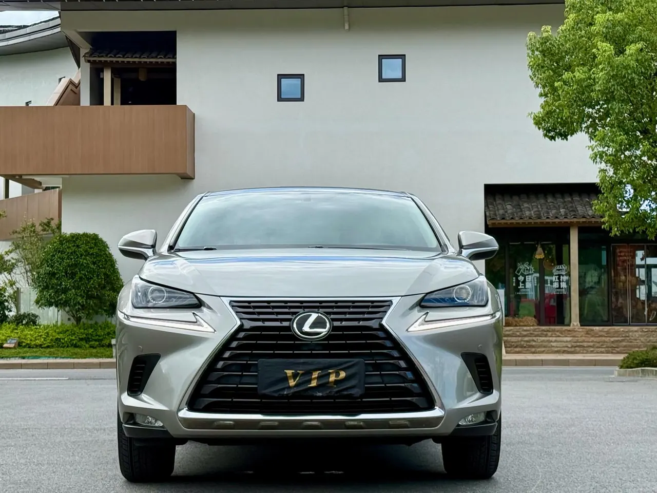 Lexus NX (Imported) 2020 NX200 2.0 Stepless Automatic Gear 6