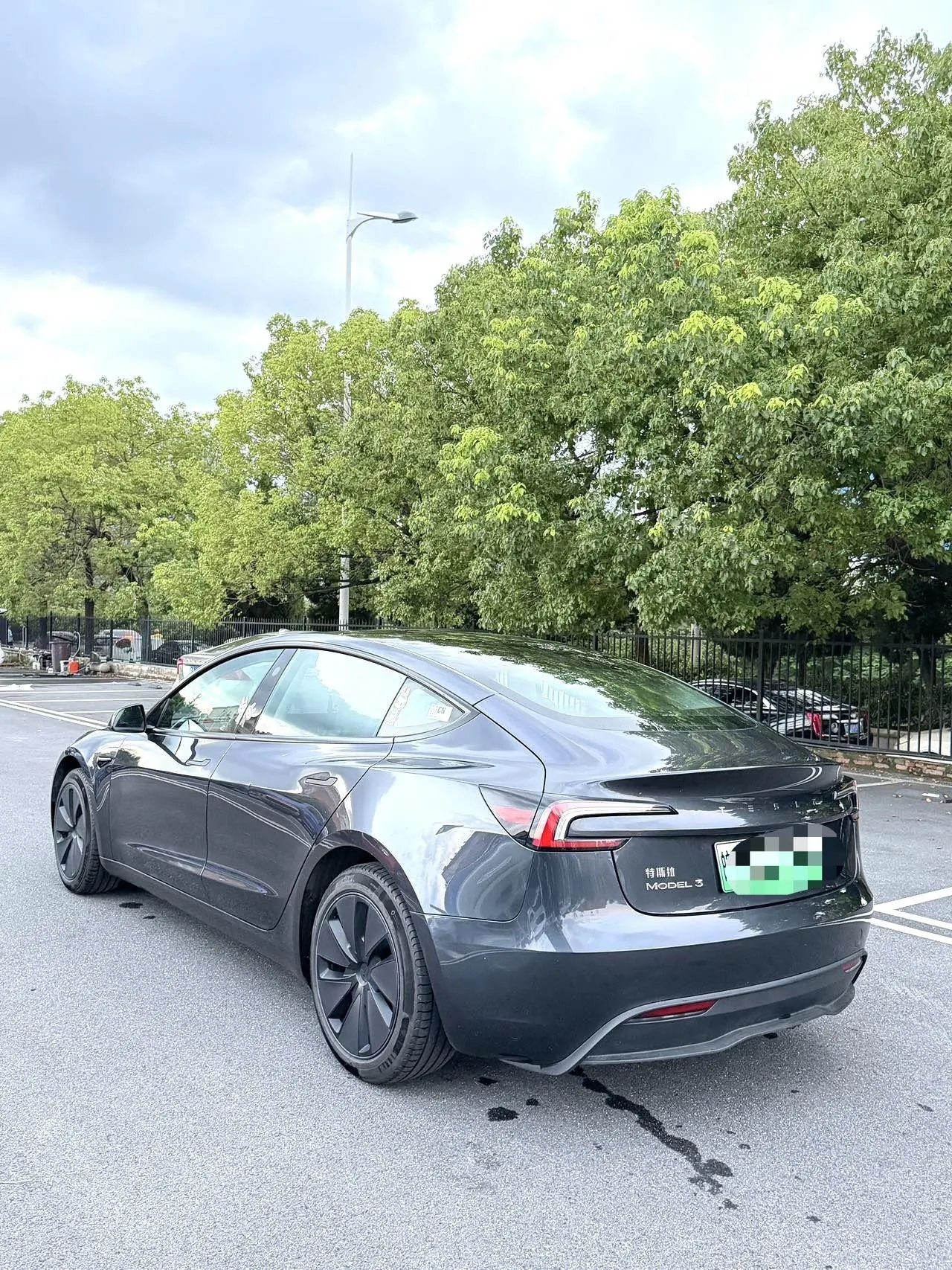 Tesla 2023 Model 3 Rejuvenation Edition Rear Wheel Drive Automatic Transmission 4