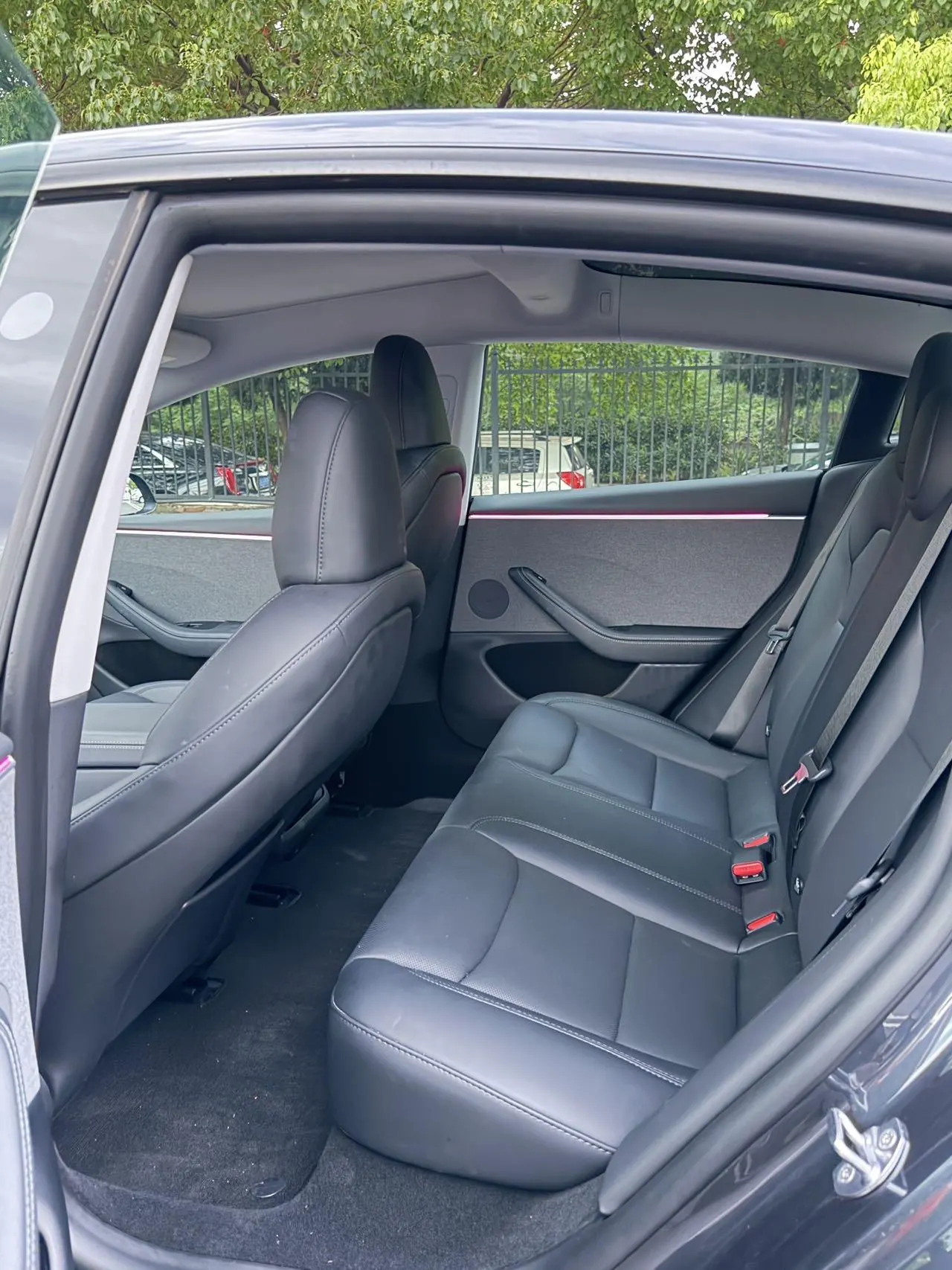 Tesla 2023 Model 3 Rejuvenation Edition Rear Wheel Drive Automatic Transmission 6