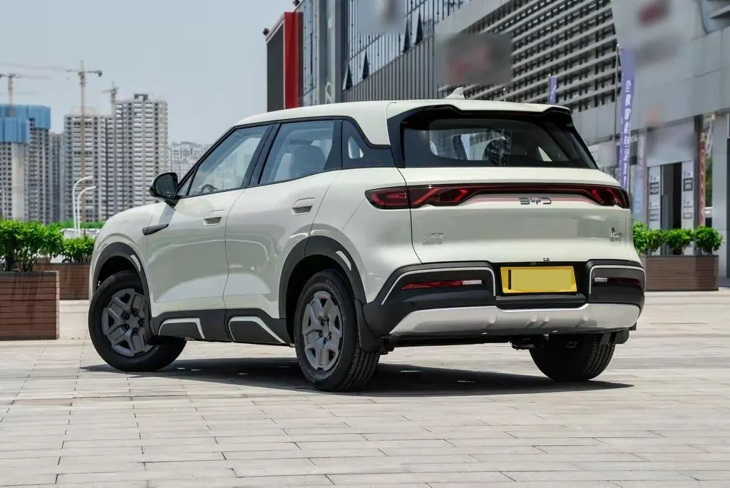 BYD 2024 Yuan UP 401KM Vital Edition Automatic Gear 6