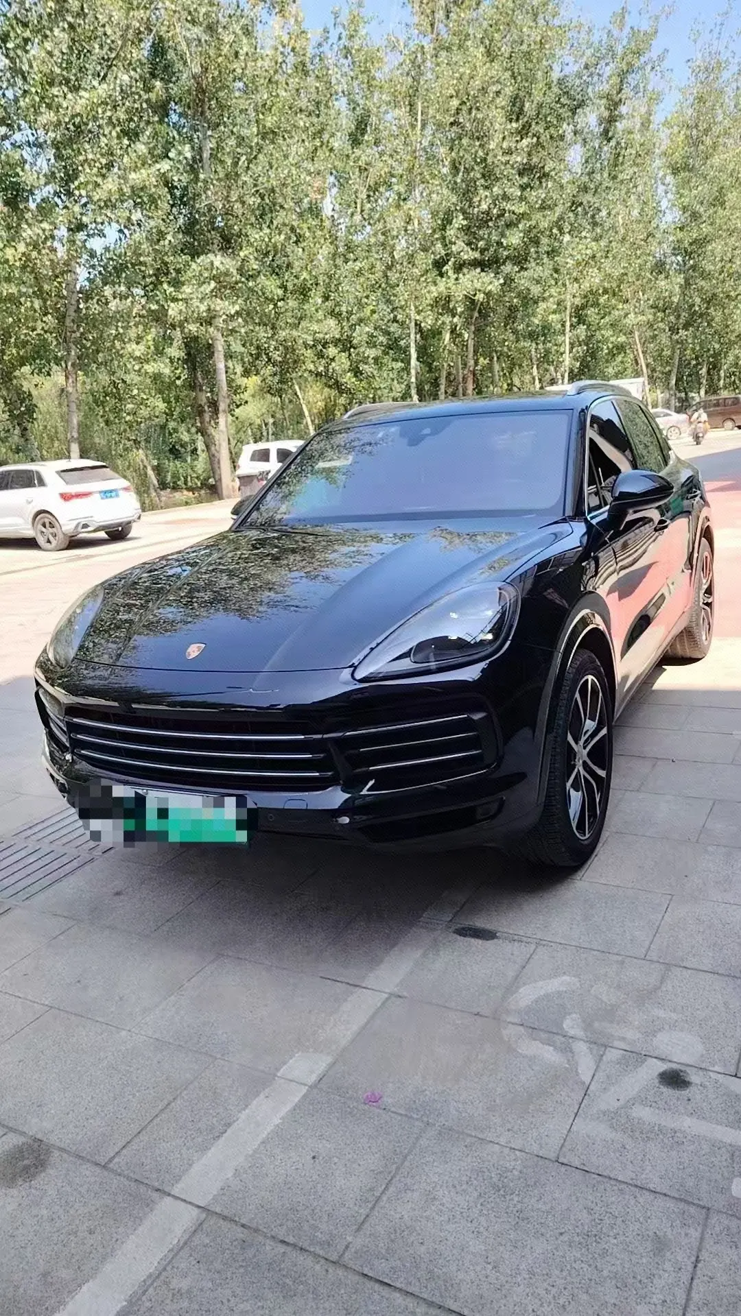 Porsche Cayenne New Energy (Imported) 2022 Cayenne Oil and Electric Hybrid 2.0T Platinum Automatic Gear - View 1