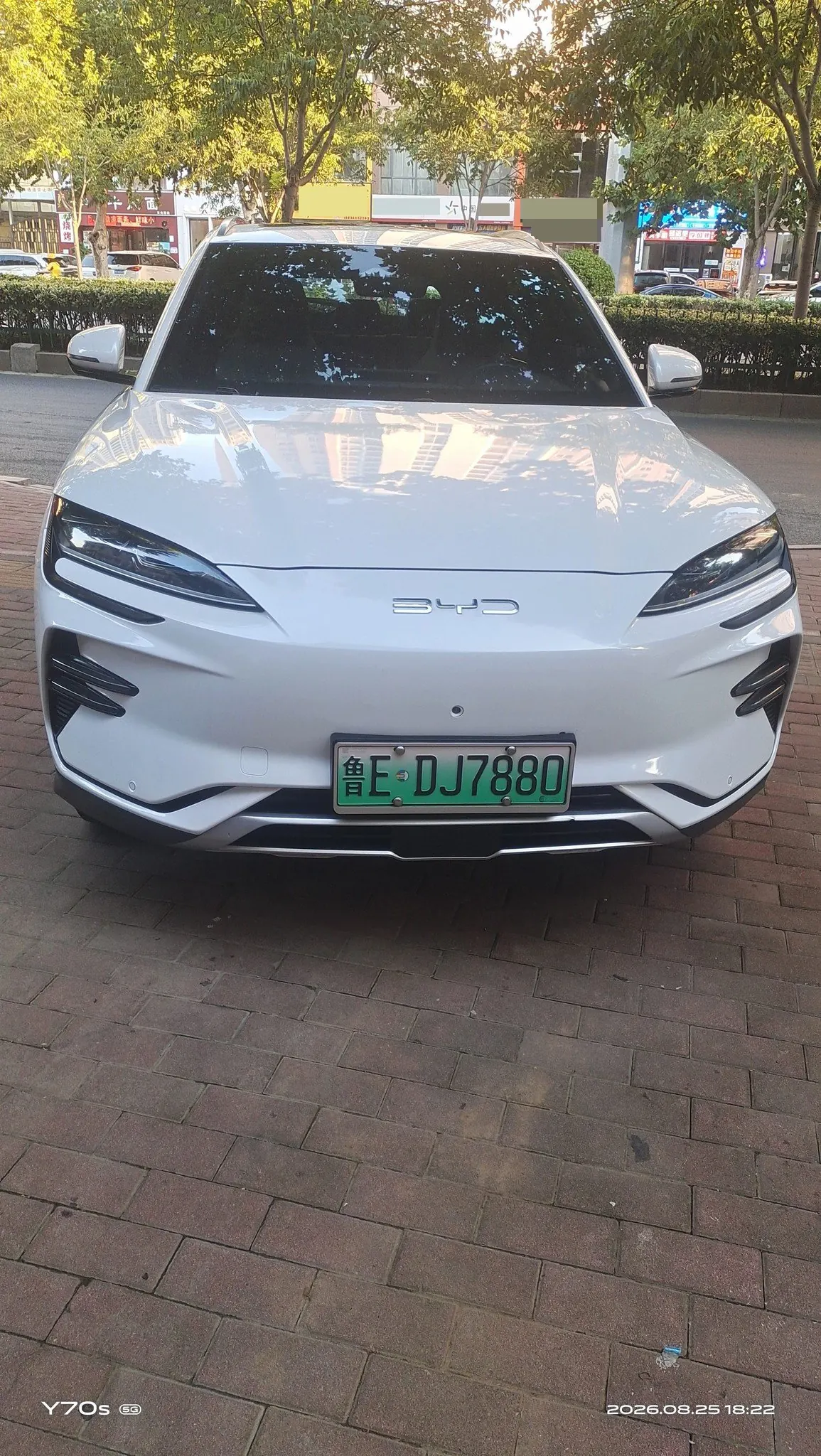 BYD Song PLUS New Energy 2024 Song PLUS EV Glory Edition 520km Pilot Automatic Gear 5