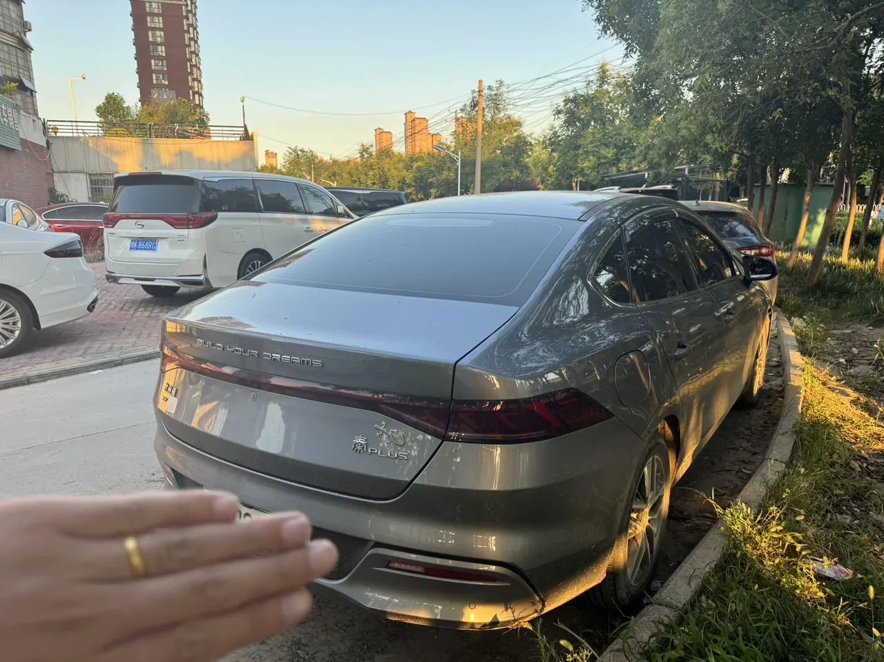 BYD 2023 Qin PLUS EV 510KM Champion Edition Leading Automatic Gear 5