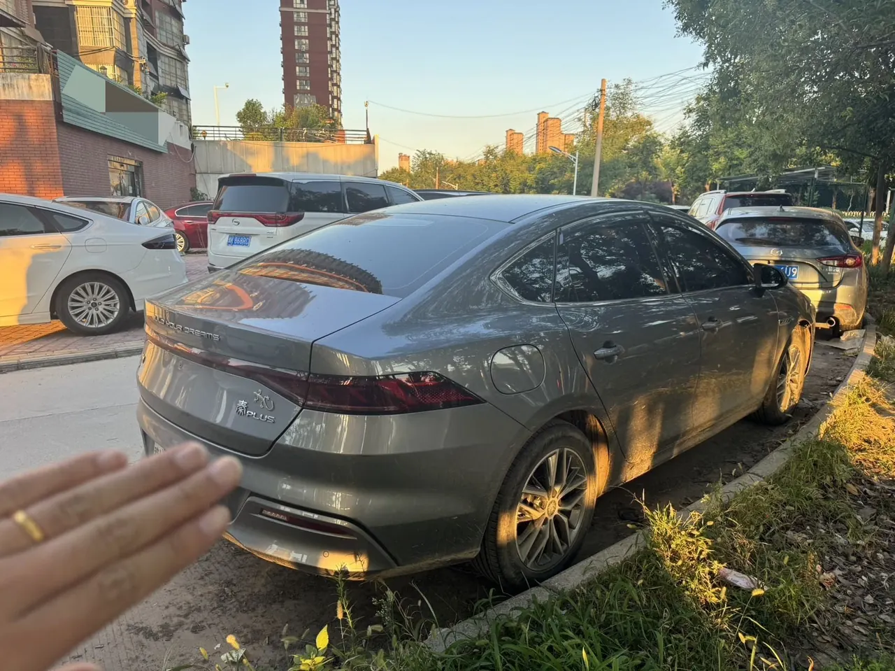 BYD 2023 Qin PLUS EV 510KM Champion Edition Leading Automatic Gear 6
