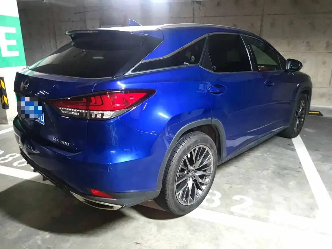 Lexus RX (Imported) 2020 RX300 F SPORT 2.0T Four-wheel Drive Automatic 2