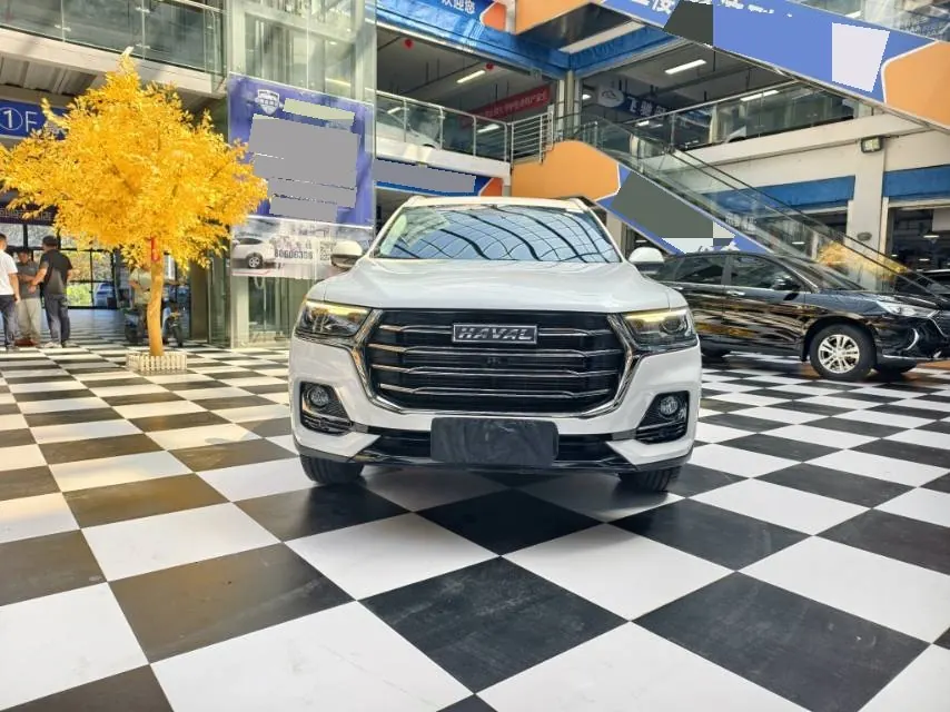 Haval 2021 H6 1.5T National Tide Champion Edition Automatic Gear 3