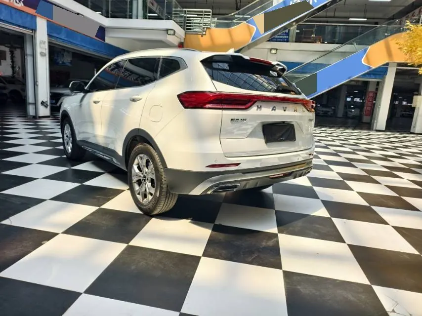 Haval 2021 H6 1.5T National Tide Champion Edition Automatic Gear 5