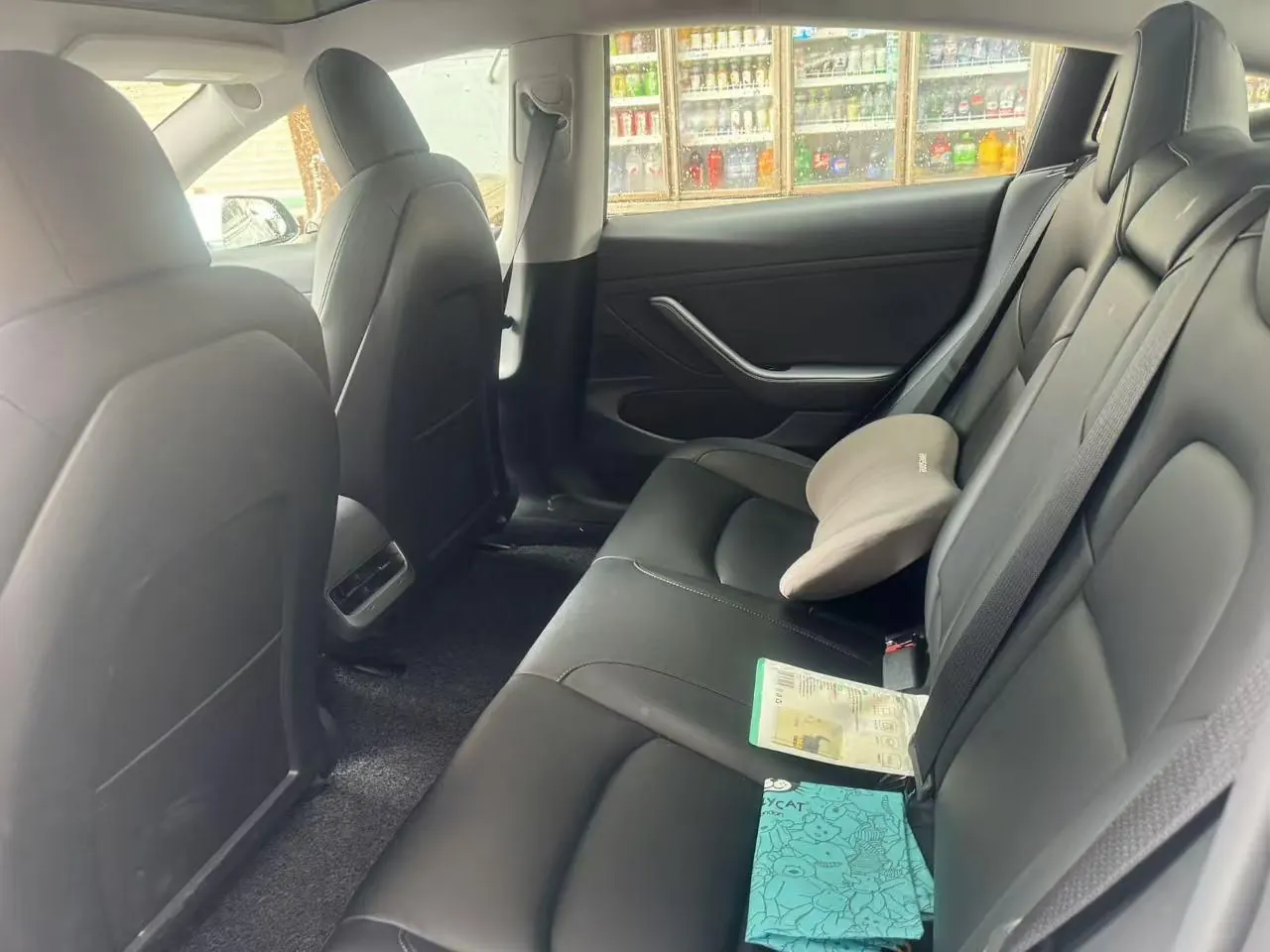 Tesla 2020 Model 3 Standard Endurance Rear Drive Upgraded Automatic Gear 9