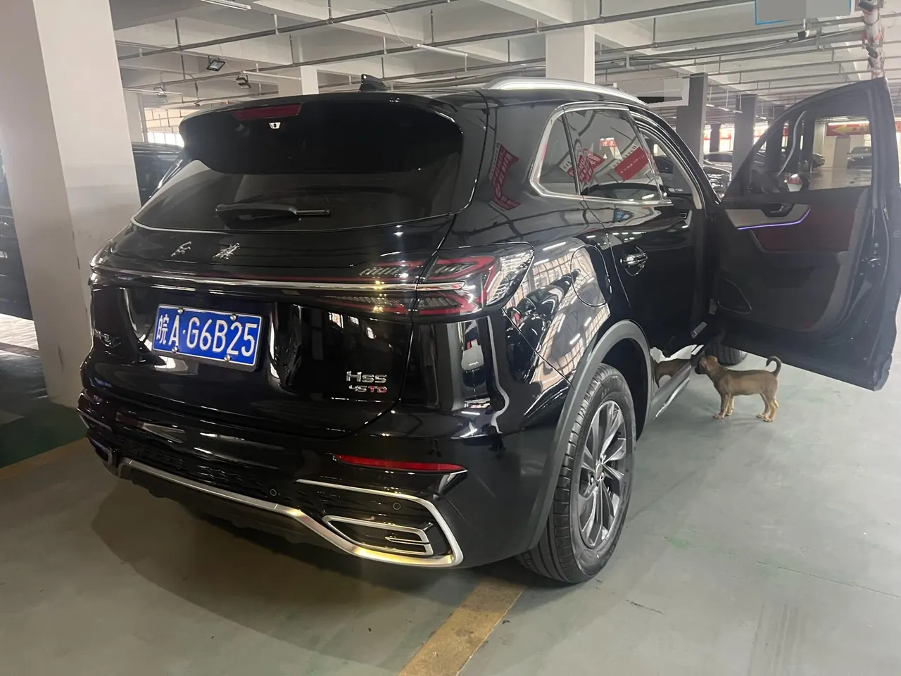 HongQi 2025 HS5 2.0T Two-Drive Flag Enjoy Pro Edition Automatic Gear 2