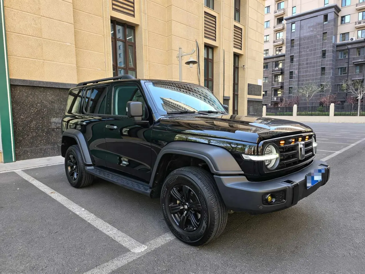 Tank 2023 Tank 300 2.0T Off-road Conqueror Automatic 3