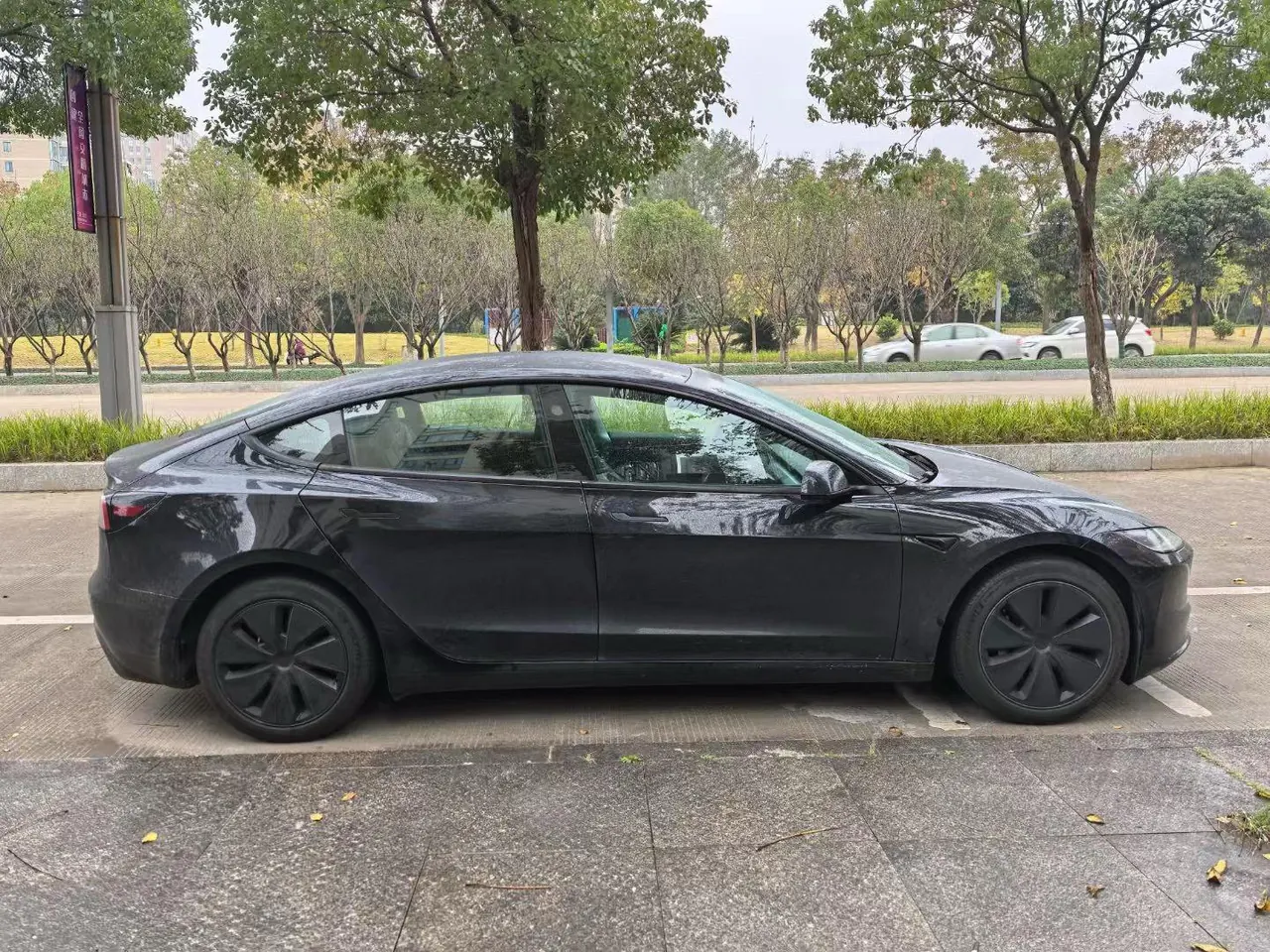 Tesla 2023 Model 3 Rejuvenation Edition Rear Wheel Drive Automatic Transmission 2