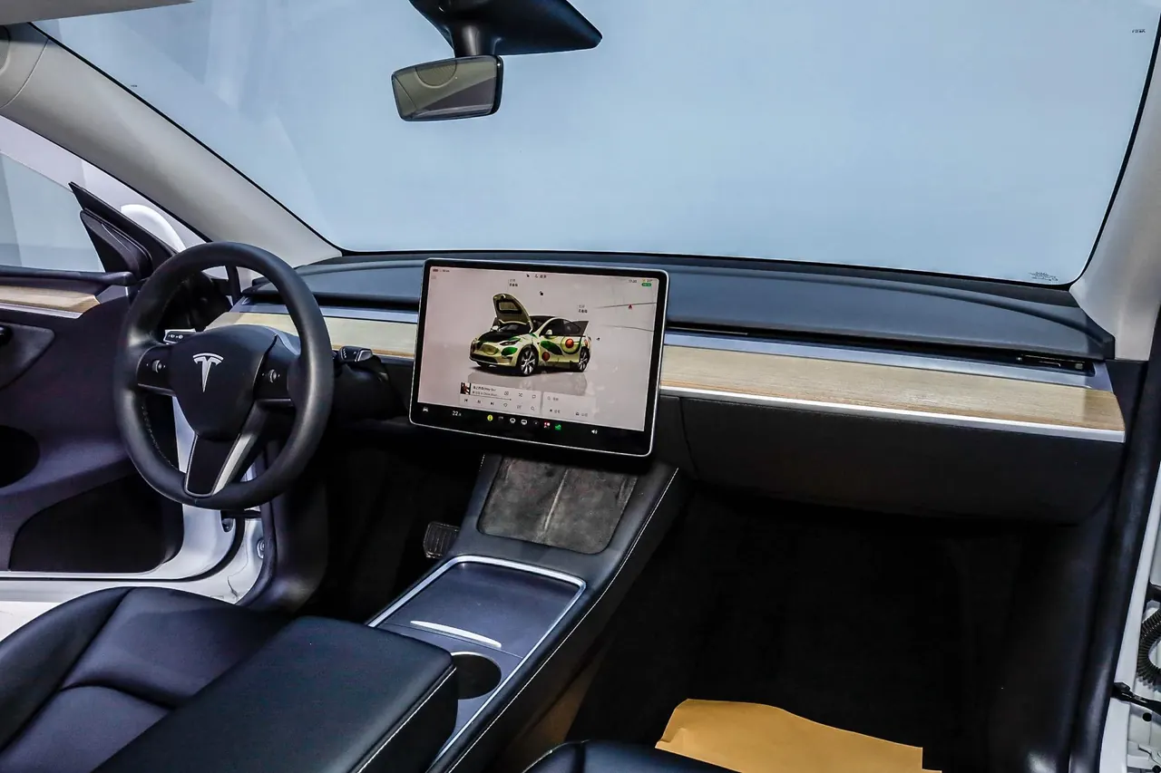 Tesla 2022 Model Y rear-wheel drive version (facelift) automatic gear 10