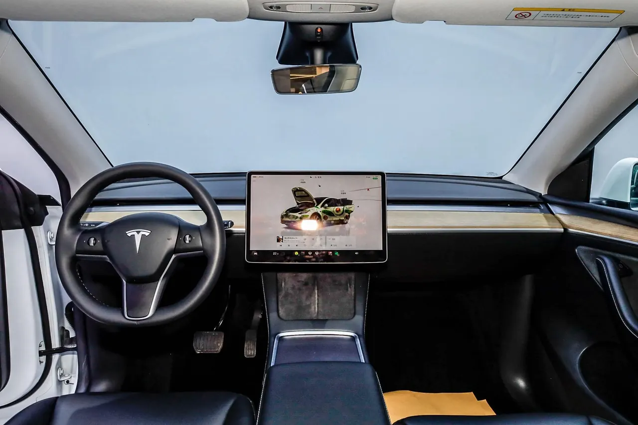 Tesla 2022 Model Y rear-wheel drive version (facelift) automatic gear 11