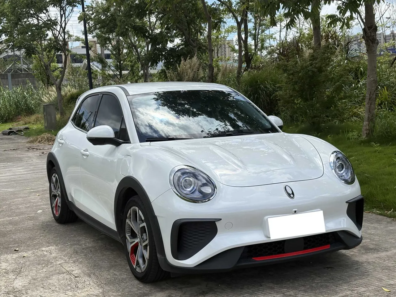 Ora good cat GT 2023 good cat GT 401km magnolia version luxury automatic gear 2