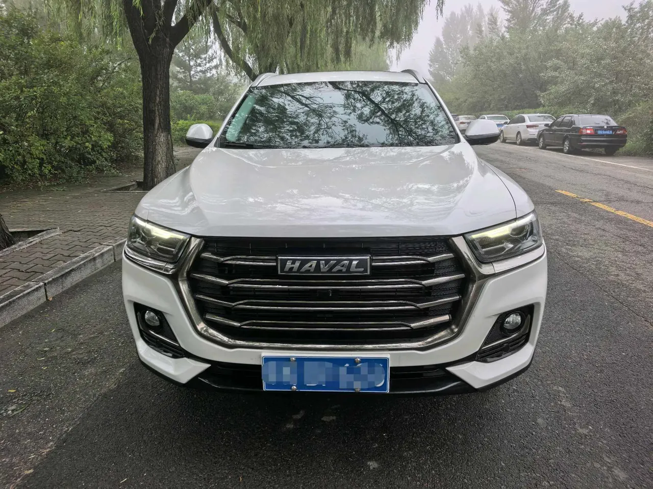 Haval 2021 H6 1.5T National Tide Edition Urban Edition Automatic Gear 3
