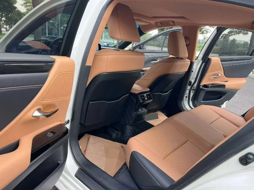 Lexus ES (Imported) 2023 ES200 2.0 Stepless Premium Edition Automatic Gear 9