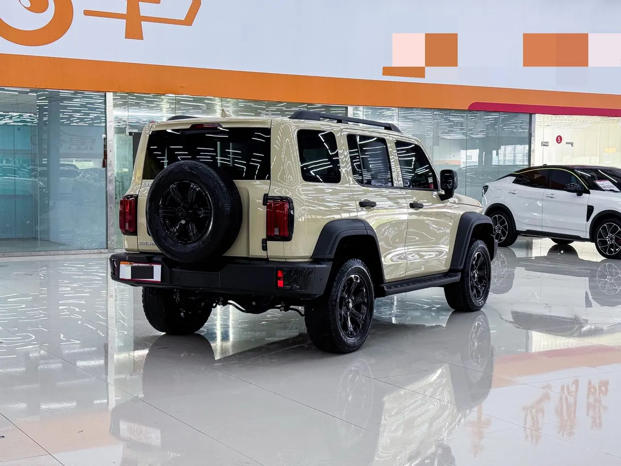 Tank 2025 Tank 300 2.4T Diesel Edition Automatic Gear 11