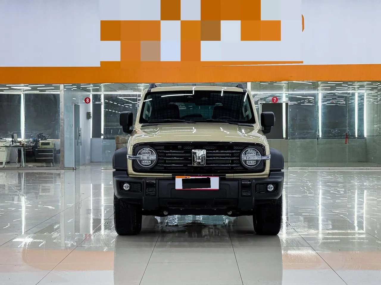 Tank 2025 Tank 300 2.4T Diesel Edition Automatic Gear 3