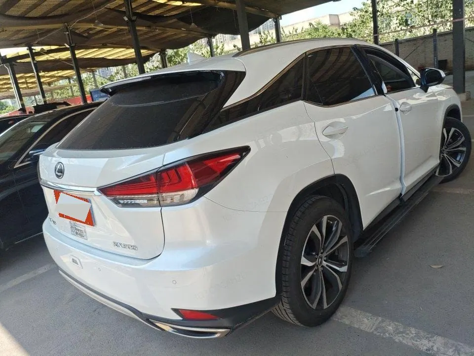 Lexus RX (Imported) 2020 RX300 2.0T Four-wheel Drive Elegant Automatic Gear 3