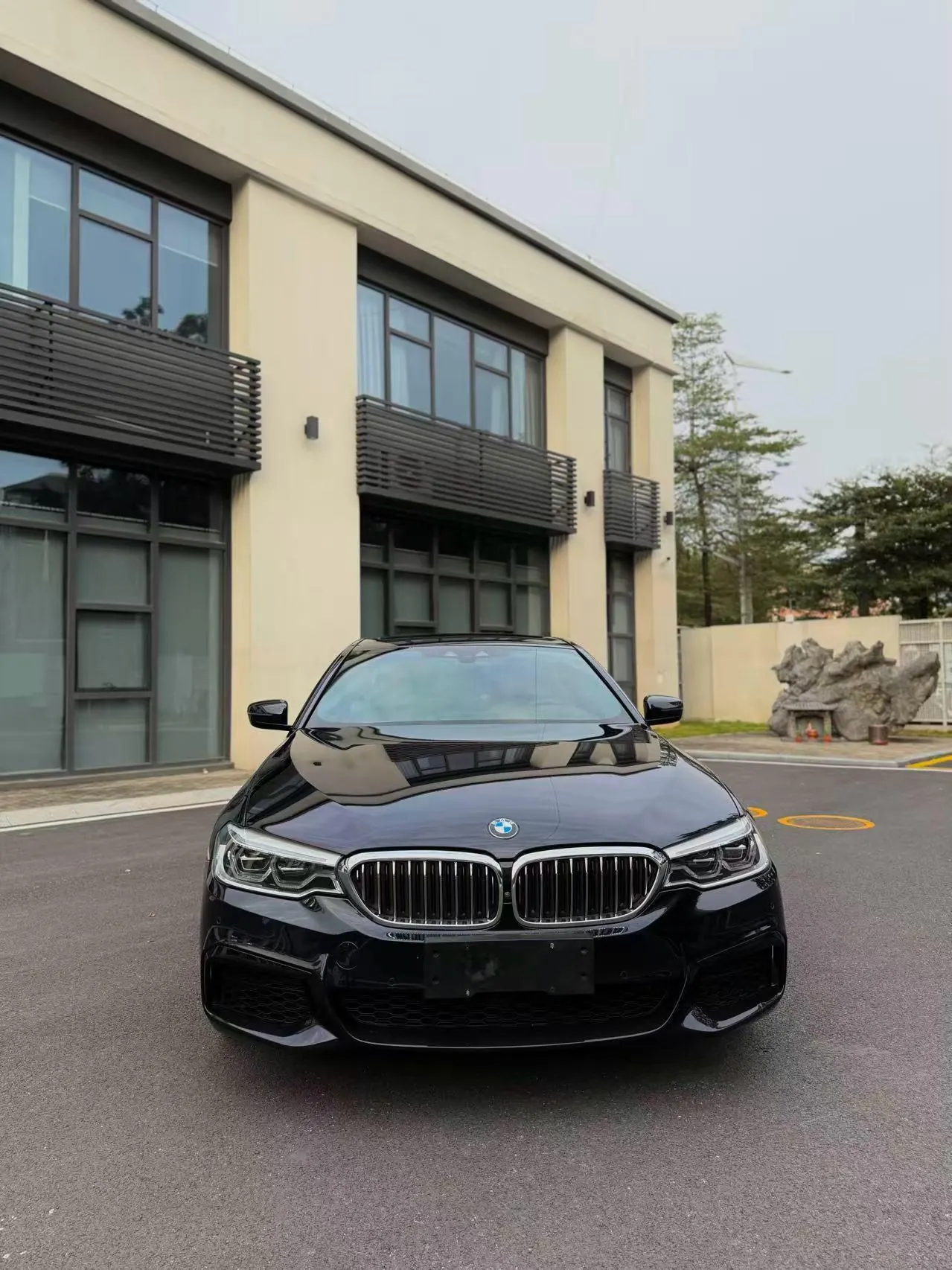 BMW 5 Series (Imported) 2020 540i 3.0T Fashion Edition M Sports Suit Automatic Gear 2