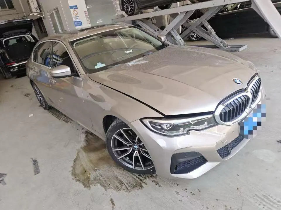 BMW 3 Series 2020 320Li 2.0T M Sports Suit Automatic Gear 2