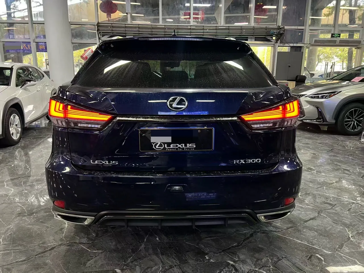 Lexus RX (Imported) 2020 RX300 F SPORT 2.0T Four-wheel Drive Automatic 2