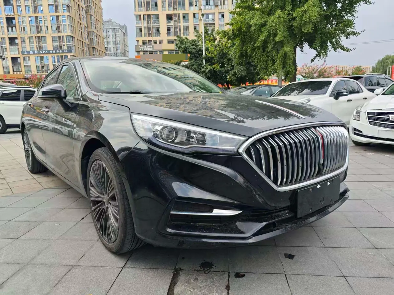 HongQi 2022 H5 1.5TD Flag Rhyme Edition Automatic Gear 3
