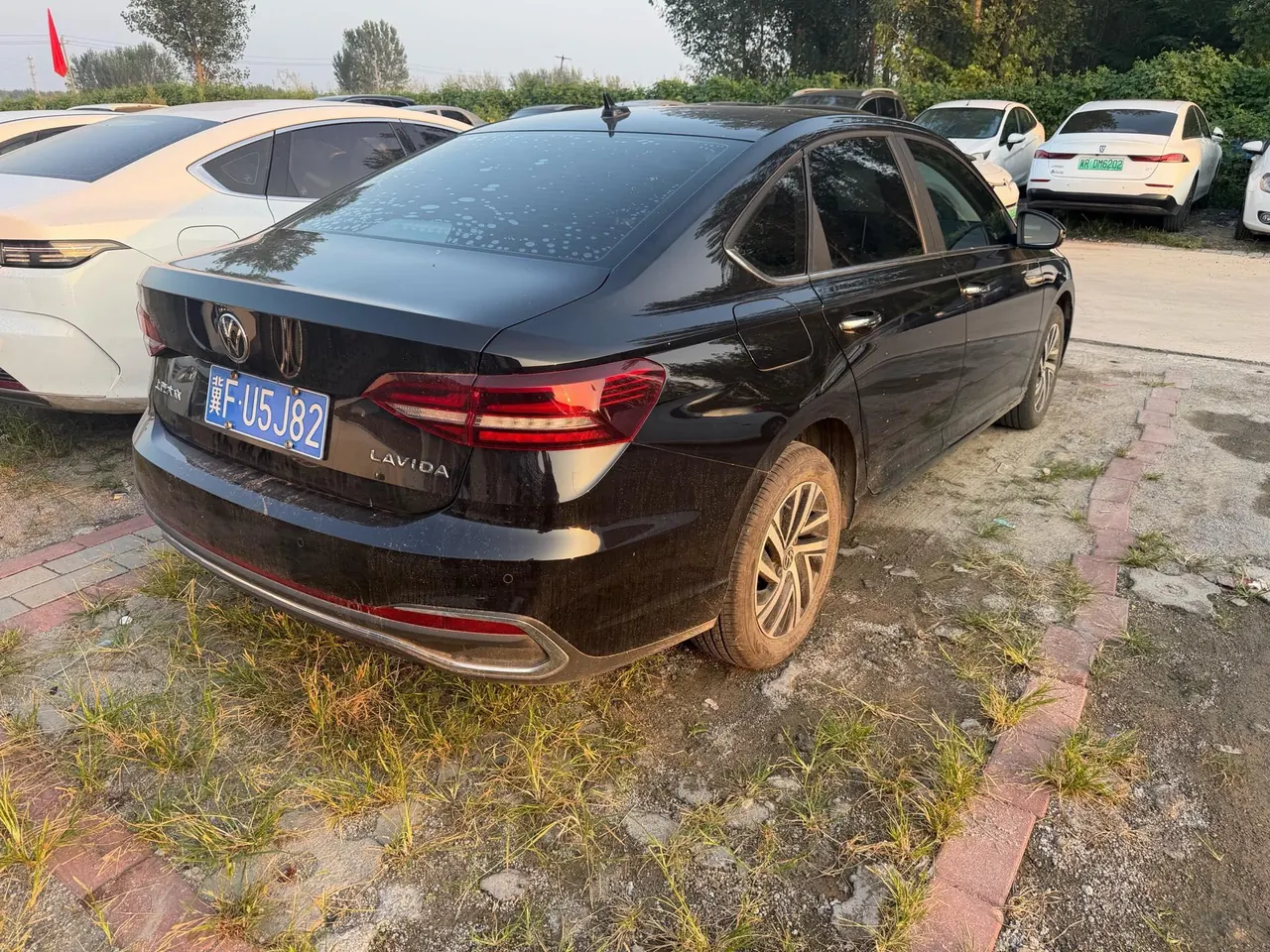 Volkswagen 2024 LaVida 1.5 5 Million Edition Automatic 3