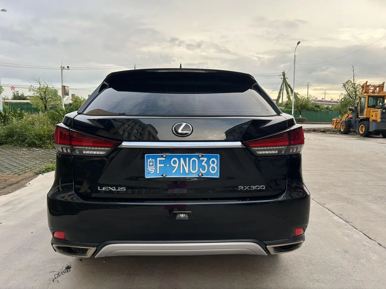 Lexus RX (Imported) 2020 RX300 2.0T Two-Drive Comfort Edition Automatic Gear 5