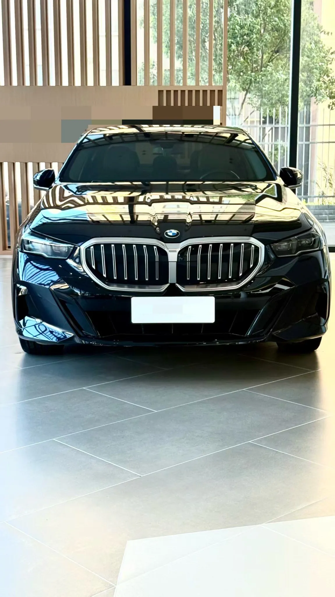 BMW 5 Series 2024 model 530Li 48V 2.0T Leading Edition M Sport Package Automatic 3