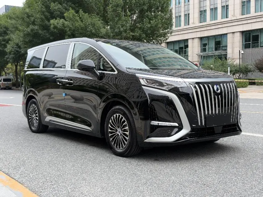 Denza 2024 Denza D9 EV EV620 exclusive automatic transmission 10