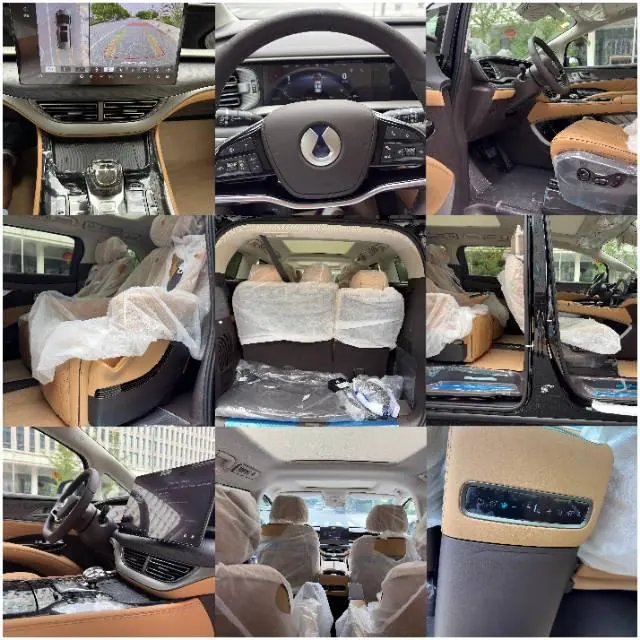 Denza 2024 Denza D9 EV EV620 exclusive automatic transmission 13