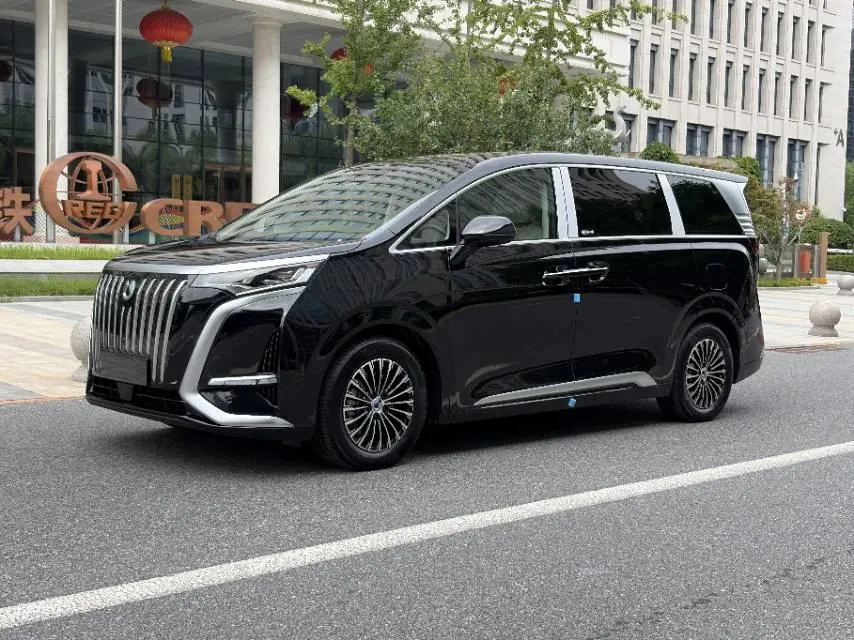 Denza 2024 Denza D9 EV EV620 exclusive automatic transmission 9