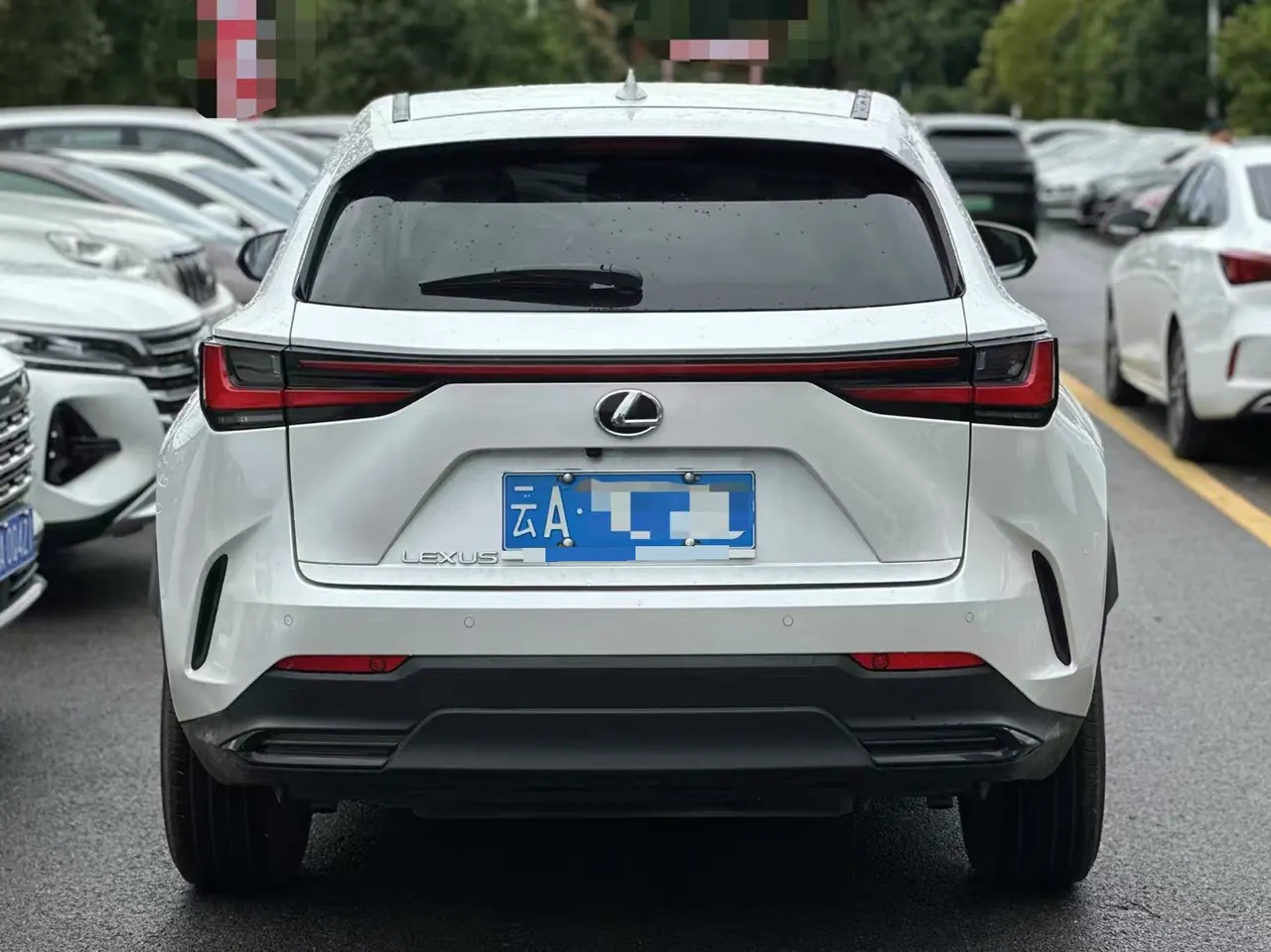 Lexus NX (Imported) 2022 NX260 2.5 Chuangchi Edition Automatic Gear 4
