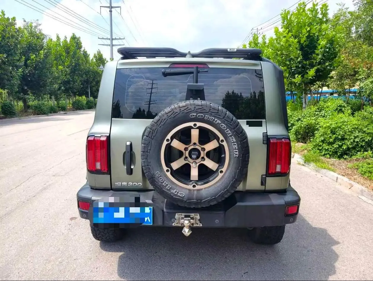 Tank 2021 Tank 300 2.0T Off-road Conqueror Automatic 3