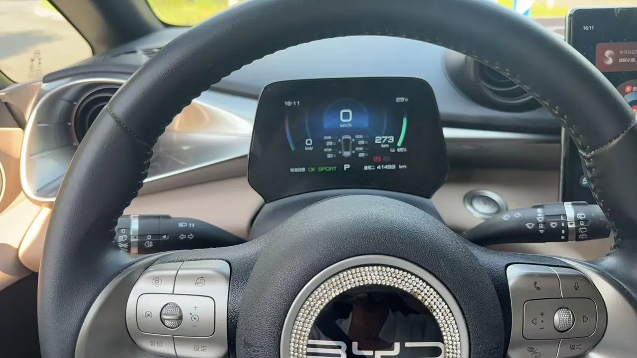 BYD 2023 Dolphin 420km Fashion Edition Automatic 5